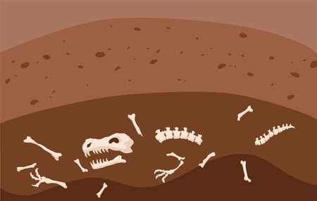 Carbon cycle, soil layer part of the biogeochemical cycle. Science education concept with fossil layer. Soil carbon sequestration illustrationのイラスト素材