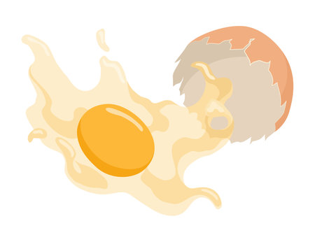Cracked egg with yolk. Baking or cooking ingredient. Eggshell and protein. Healthy organic food. Diet with raw and broken product. Vector cartoon foodのイラスト素材
