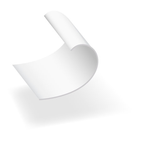 Blank payment check and receipts with shadow. Curved financial paper, purchase invoice. Buying, bill or calculate pay. Receipt the seller formのイラスト素材