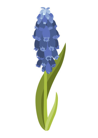 Spring flower icon. Floral element in watercolor. Symbol for designing greeting cards or invitations. Vector illustrationのイラスト素材
