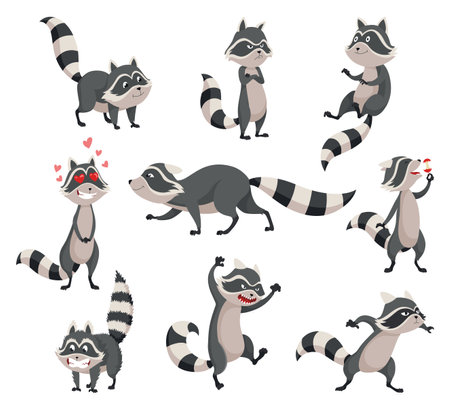 Cartoon raccoon character emotions. Funny wild coon in different poses, cute mammal set. Vector design animals icons isolated on white backgroundのイラスト素材