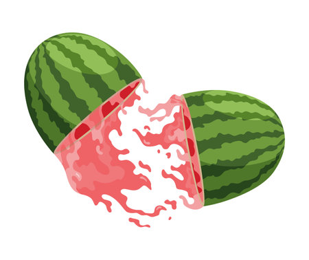 Watermelon natural sweet food. Icon of ripe red fruit cut on slice in 3d realistic cartoon style. Fresh and juicy colorful berry isolated on white backgroundのイラスト素材