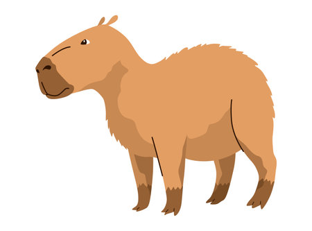 Capybara. Cartoon cute animal, wild herbivore mammal resting. Funny adorable exotic animal relaxing. Cartoon flat vector illustrationのイラスト素材