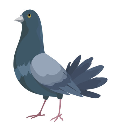 City bird, icon. European colorful bird, winged animal character. Bird isolated on white background. Vector illustration isolated on white backgroundのイラスト素材