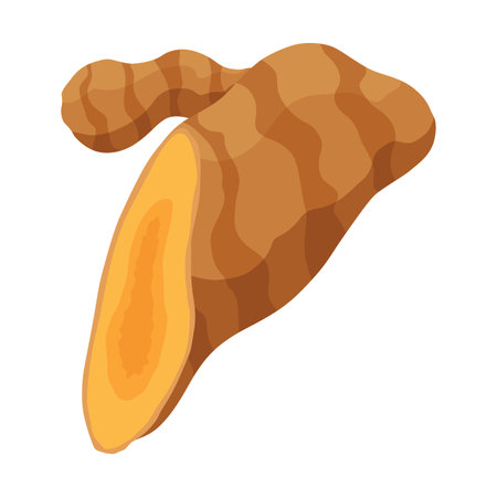 Turmeric root plant, icon. Natural flavor, herbal spice, hand drawn sketch illustration. Detox food ingredient. Vector illustration isolated on white backgroundのイラスト素材