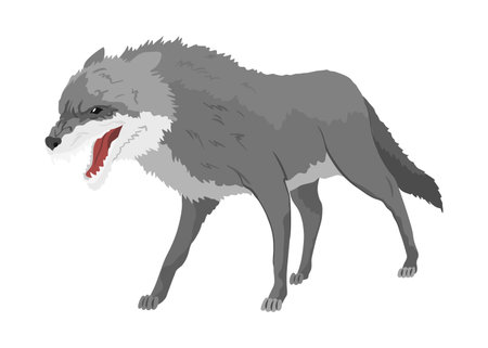 Gray wolf. A predatory beast. Wild forest animal. Vector hand drawn vintage old sketch for stamp, t-shirt or typography or badgeのイラスト素材