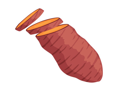 Sweet potato batata. Vegatable ingidient for healthy food. Organic vegetable root, healthy vegan or nutrition carbohydrate. Vector illustration in cartoon flat style. Isolated on white backgroundのイラスト素材
