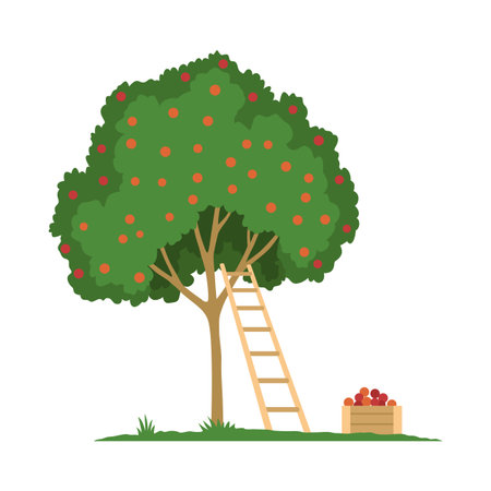 A tree with a ladder and a basket of fresh applesのイラスト素材