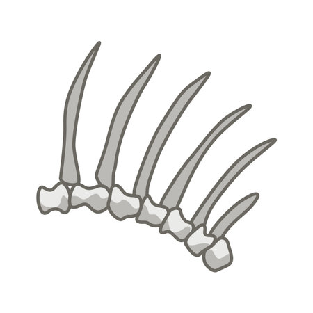 Dinosaurs skeletons parts . Fossils, bones of prehistoric reptiles and ammonitesのイラスト素材