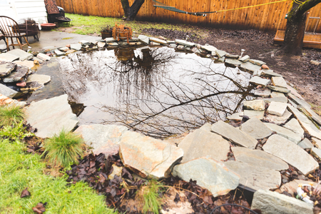 Pond in a home back yard in the Pacific Northwest, USA.の写真素材