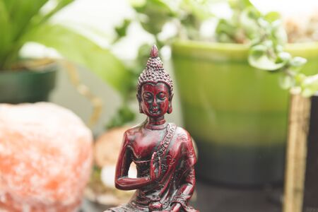 Religious figure or sculpture, plants, crystal salt rock, and other decorations on a shelf or bookcase.の写真素材