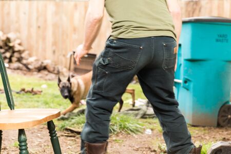 Shepard dog playing outside in a home back yard.の写真素材