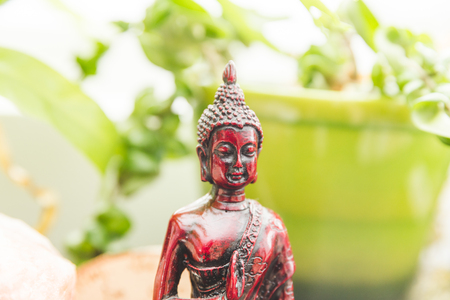 Religious figure or sculpture, plants, crystal salt rock, and other decorations on a shelf or bookcase.の写真素材