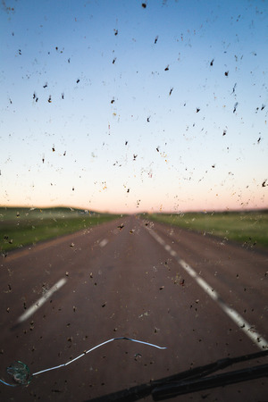 Dead bugs splattered on a broken windshield with a highway in the background.の写真素材