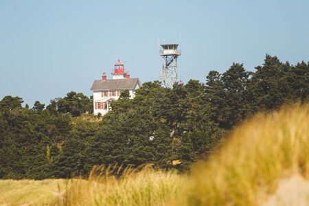 Lighthouse and a tall lookout tower set back among trees near the Oregon coast.の写真素材