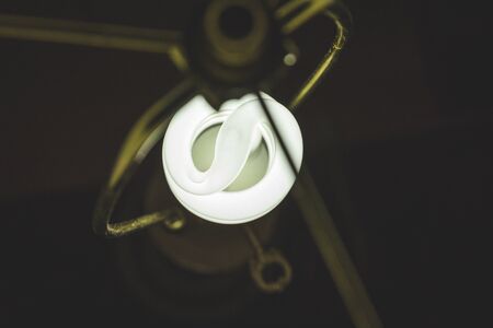 Compact fluorescent light bulb turned on in a lamp socket.の写真素材