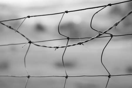 Close up of fence with barbed wire in black and white.の写真素材