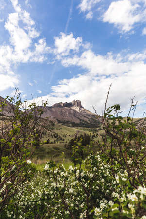 Rocky Mountain peak in the distance with blue sky, clouds, and green foliage in bloom. Montana, USA.の写真素材