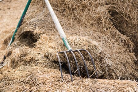 Classic pitchfork on a pile of hay.の写真素材