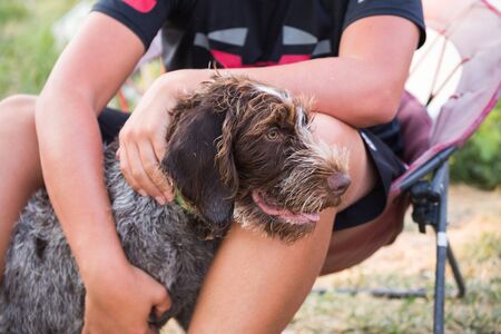 Young man holding a German Wirehaired Pointer while they sit outside.の写真素材