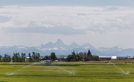 Sprinklers spray green fields with Teton Mountains in background.の写真素材