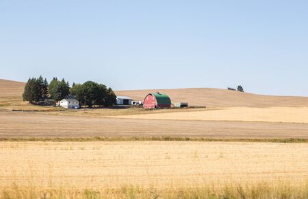 Red farm house surrounded by fields in a rural agricutlural area. Sunny summer day setting.の写真素材