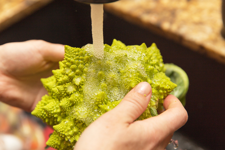 Person rinsing Romanesco broccoli under a kitchen sink faucet.の写真素材