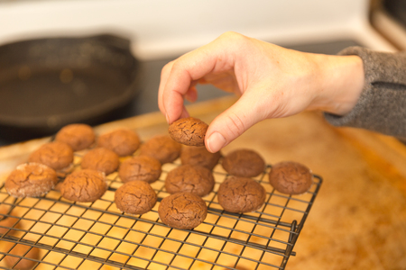 Baked chocolate cookies cooling on a rack. Woman's hand picking up one cookie.の写真素材