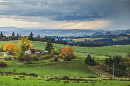 Beautiful farm land landscape in rural wine country. Rolling green hills with farms, vineyards, and trees as seen on a stormy day.の写真素材