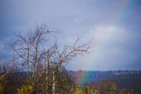 Rainbow near a tree with bird perched in branches. Rolling hills in distance. Captured in fall or winter in Portland, Oregon, USA.の写真素材