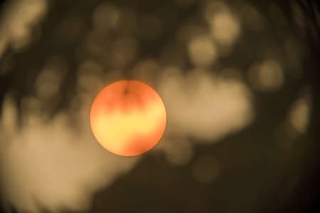 Zoomed-in sun between tree branches. Sun is clearly visible through a filter of dense smoke caused by nearby forest fires.の写真素材