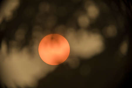 Zoomed-in sun between tree branches. Sun is clearly visible through a filter of dense smoke caused by nearby forest fires.の写真素材