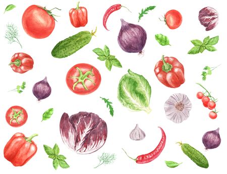 hand painted Watercolor background with paprika vegetable, tomato, chilli pepper, onion, basil leaf isolated on white. Food journal, magazine, recipe book picture, menu. Eco, organic food concept.の写真素材
