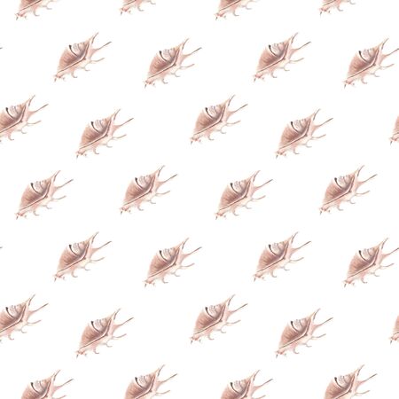 Hand drawn watercolor sea shells seamless pattern. Design element for wallpaper, fabric design, textile design, cover, wrapping paper, banner, card, backgroundの写真素材