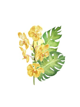 hand drawn watercolor tropical plants. bouquet with monstera leaf, orchid and hibiscus flowers isolated on white background. element for design, invitation, greeting cardの写真素材