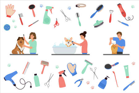 Scenes with people grooming dogs. Set of tools for coat care. Man and Women caring of pets, cutting...