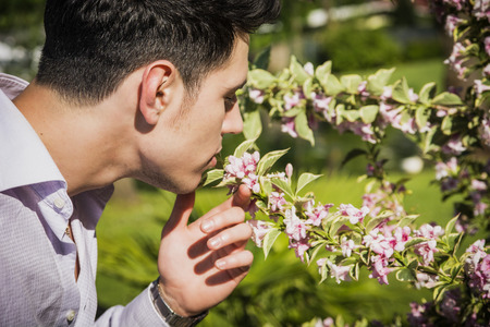 Handsome young man in garden smelling beautiful flowers in a sunny dayの写真素材