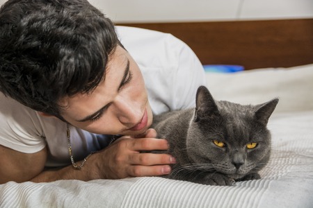 Handsome Young Animal-Lover Man on a Bed, Hugging and Cuddling his Gray Domestic Cat Pet.の写真素材