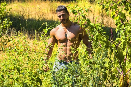 Attractive muscular shirtless young man in nature among green plants looking at cameraの写真素材