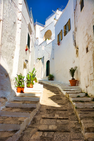A cobblestone street lined with potted plants. A charming street in Ostuni, Italy, adorned with potted plants and cobblestone pavingの写真素材