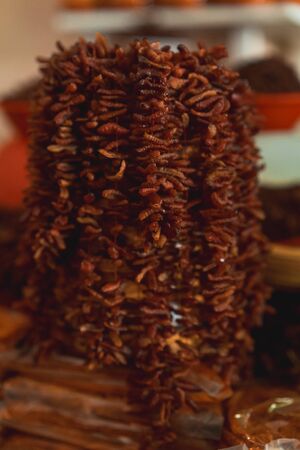 Red fried grasshoppers with chili peppers in Mexico