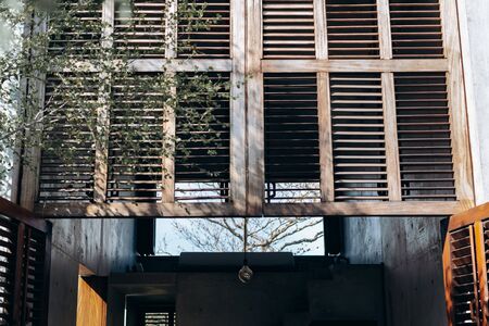 Branchless tree without leaves outside the window of a concrete houseの写真素材