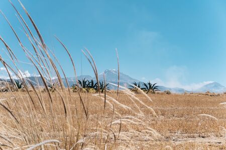 Aerial view of an agave plantation and two volcanoes in Mexicoの写真素材