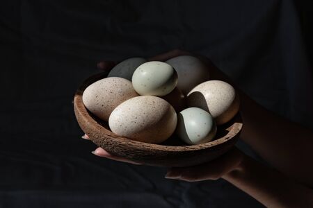 Araucana eggs and goose eggs on a wooden plate in female hands