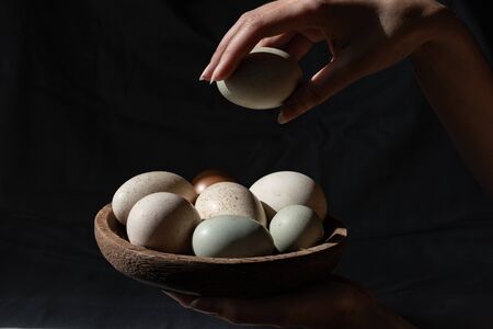 Araucana eggs and goose eggs on a wooden plate in female hands