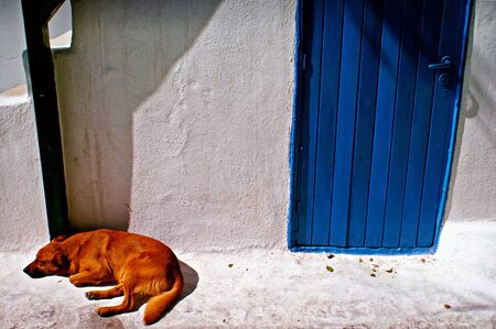 Greece, Cyclades islands, Mykonos, dog sleeping outside a house in the main town.の写真素材