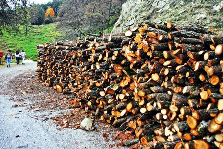 A wood stack at the village Verdikousia. Larissa Prefecture, Thessaly region, central Greece.の写真素材
