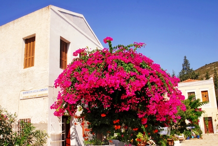 Traditional houses by the harbour of the town of Kastelorizo, Kastelorizo island, Dodecanese islands, Greece.の写真素材