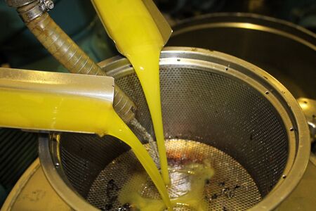 Extra virgin olive oil extraction process in olive oil mill in Greece.の写真素材