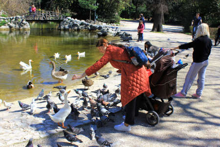 Athens, Greece, March 12 2020 - People enjoy a sunny day across artificial lake in the National Gardens.のeditorial素材